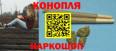 гидра Кингисепп