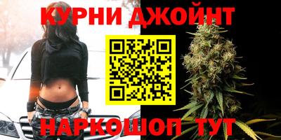 гидра Кингисепп