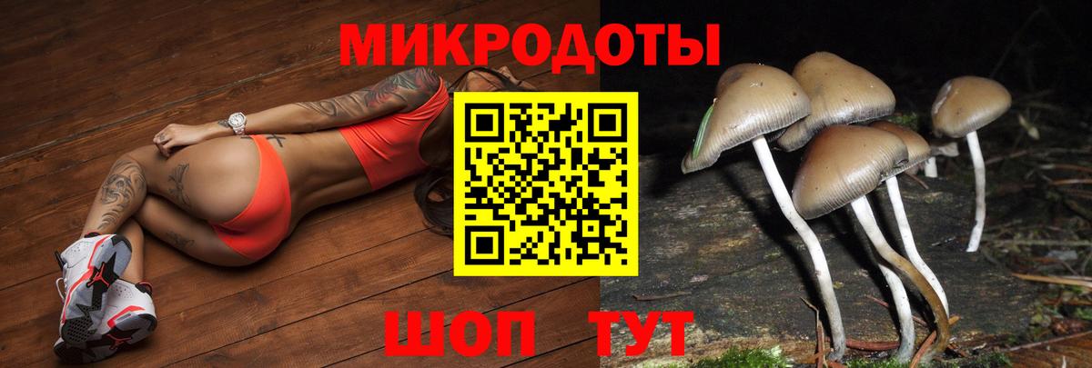 Галлюциногенные грибы MAGIC MUSHROOMS  Галлюциногенные грибы Magic Shrooms  Чапаевск  Вход с VPN 